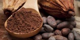 Cacao Polvo Queule 250 grs